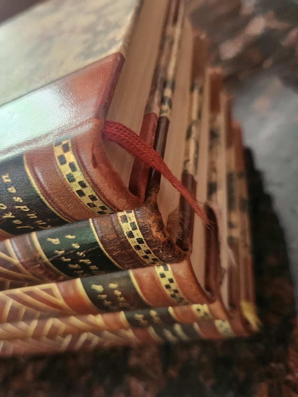 5 Our Homes Nordic Library Set 5 Gold Tooled Leather Bound Books Swedish 1931 32 - Picture 15 of 15